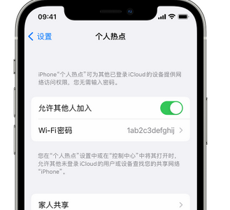 雨城apple服务站点分享iPhone上个人热点丢失了怎么办 