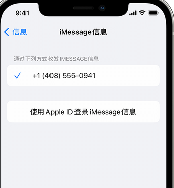 雨城apple维修iPhone上无法正常发送iMessage信息 