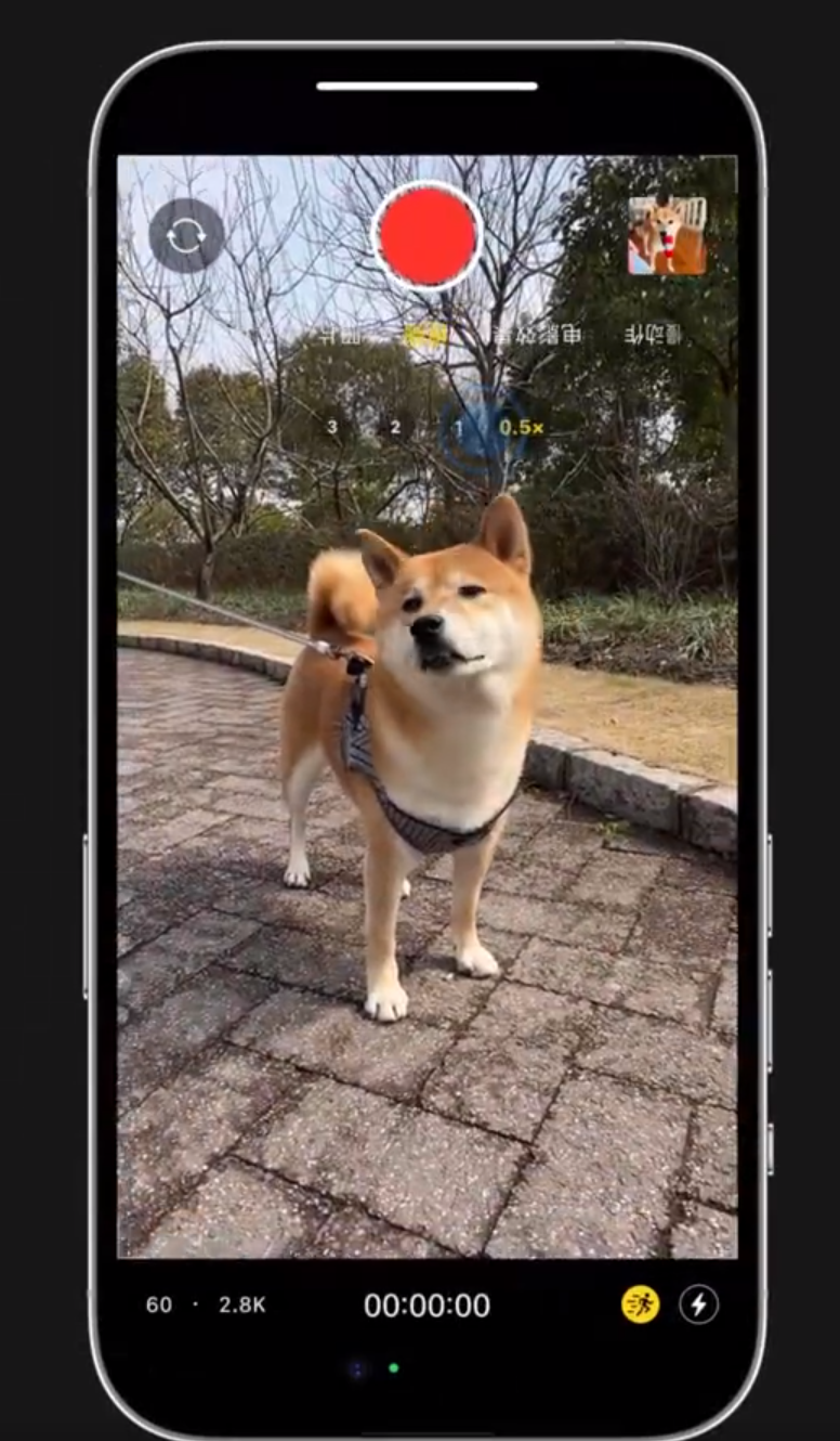 雨城苹果14服务网点分享iPhone14上手持拍摄也能保持画面稳定 