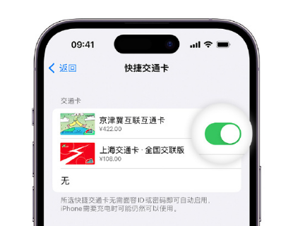 雨城apple维修点分享iPhone上更换Apple Pay快捷交通卡手绘卡面 