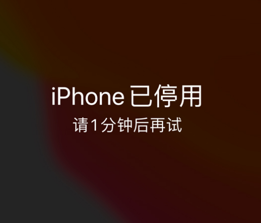 雨城苹果手机维修分享:iPhone 显示“不可用”或“已停用”怎么办？还能保留数据吗？ 