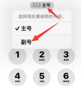 雨城苹果14维修店分享iPhone 14 Pro Max使用副卡打电话的方法 