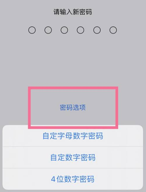 雨城苹果14维修分享iPhone 14plus设置密码的方法 