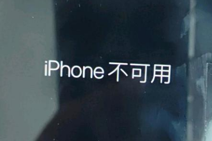 雨城苹果服务网点分享锁屏界面显示“iPhone 不可用”如何解决 