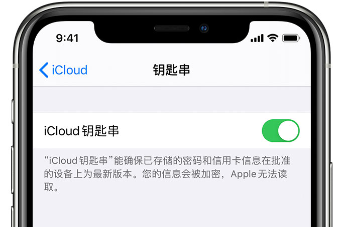 雨城苹果手机维修分享在 iPhone 上开启 iCloud 钥匙串之后会储存哪些信息 