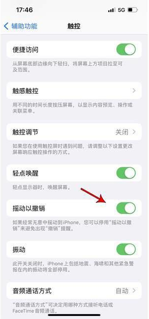 雨城苹果手机维修分享iPhone手机如何设置摇一摇删除文字 